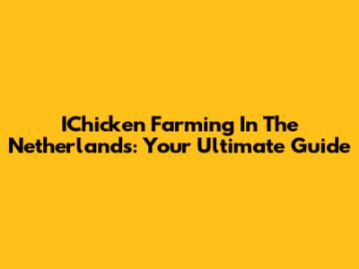 IChicken Farming In The Netherlands: Your Ultimate Guide