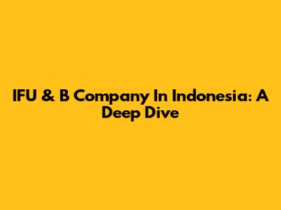 IFU & B Company In Indonesia: A Deep Dive