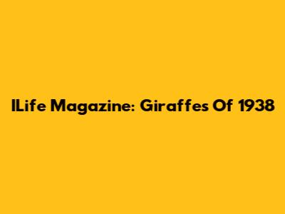 ILife Magazine: Giraffes Of 1938