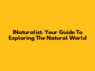 INaturalist: Your Guide To Exploring The Natural World