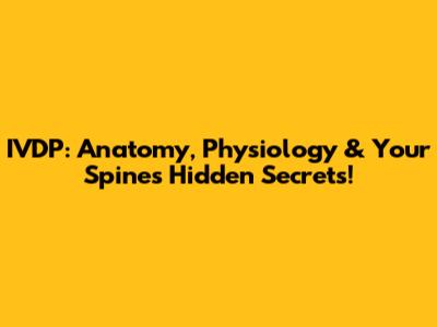 IVDP: Anatomy, Physiology & Your Spine's Hidden Secrets!