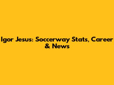 Igor Jesus: Soccerway Stats, Career & News