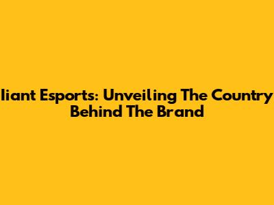 Iiant Esports: Unveiling The Country Behind The Brand