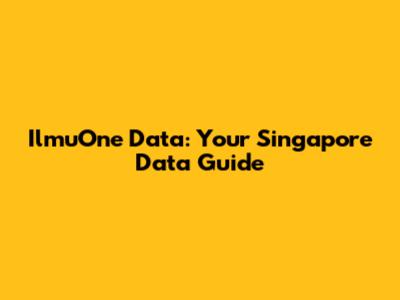 IlmuOne Data: Your Singapore Data Guide