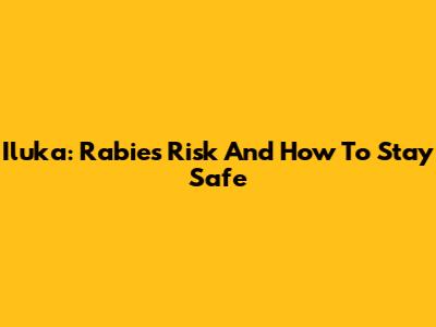Iluka: Rabies Risk And How To Stay Safe