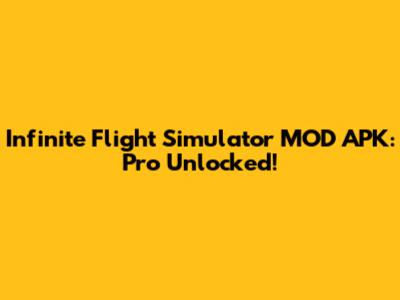 Infinite Flight Simulator MOD APK: Pro Unlocked!