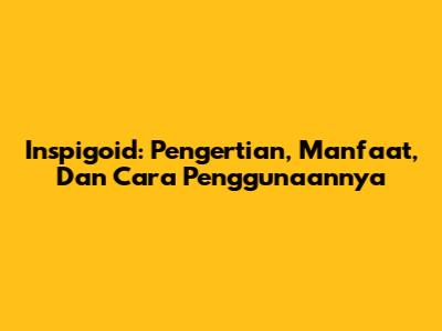 Inspigoid: Pengertian, Manfaat, Dan Cara Penggunaannya