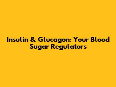Insulin & Glucagon: Your Blood Sugar Regulators