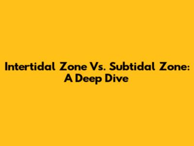 Intertidal Zone Vs. Subtidal Zone: A Deep Dive