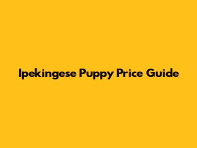 Ipekingese Puppy Price Guide
