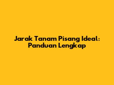 Jarak Tanam Pisang Ideal: Panduan Lengkap
