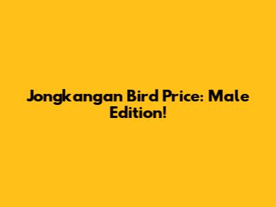 Jongkangan Bird Price: Male Edition!