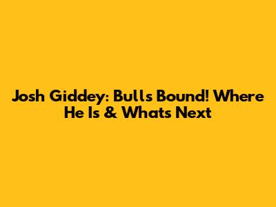 Josh Giddey: Bulls Bound! Where He Is & What's Next
