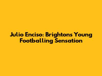 Julio Enciso: Brighton's Young Footballing Sensation