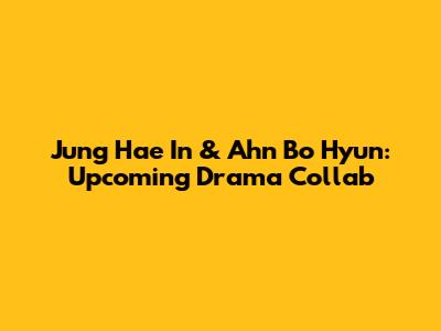 Jung Hae In & Ahn Bo Hyun: Upcoming Drama Collab