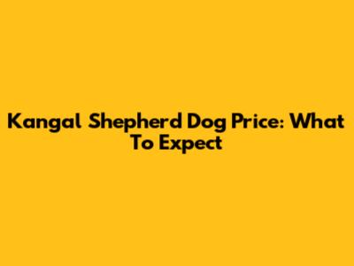 Kangal Shepherd Dog Price: What To Expect
