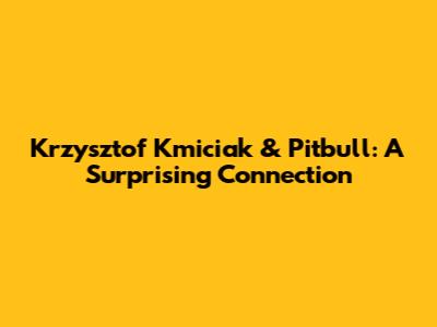 Krzysztof Kmiciak & Pitbull: A Surprising Connection