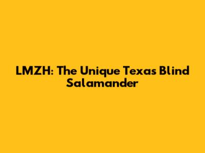 LMZH: The Unique Texas Blind Salamander