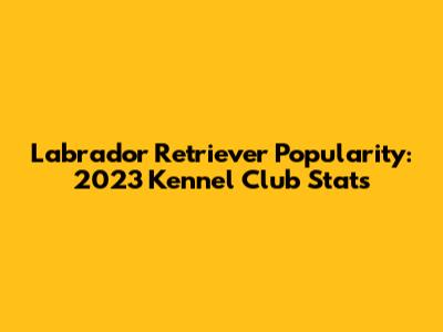 Labrador Retriever Popularity: 2023 Kennel Club Stats
