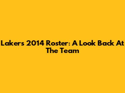 Lakers 2014 Roster: A Look Back At The Team