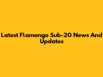 Latest Flamengo Sub-20 News And Updates