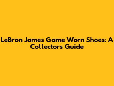 LeBron James Game Worn Shoes: A Collector's Guide
