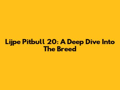 Lijpe Pitbull 20: A Deep Dive Into The Breed