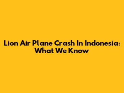 Lion Air Plane Crash In Indonesia: What We Know