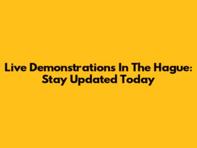 Live Demonstrations In The Hague: Stay Updated Today