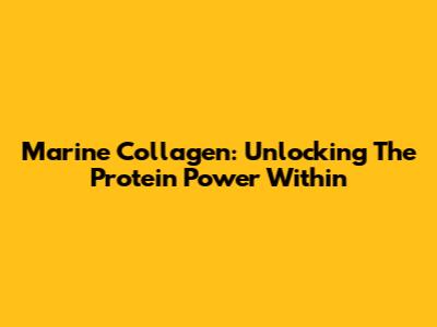 Marine Collagen: Unlocking The Protein Power Within