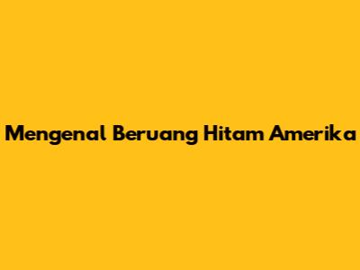 Mengenal Beruang Hitam Amerika