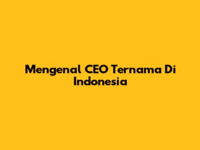 Mengenal CEO Ternama Di Indonesia