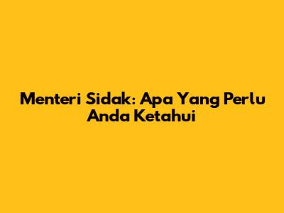 Menteri Sidak: Apa Yang Perlu Anda Ketahui