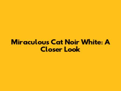 Miraculous Cat Noir White: A Closer Look