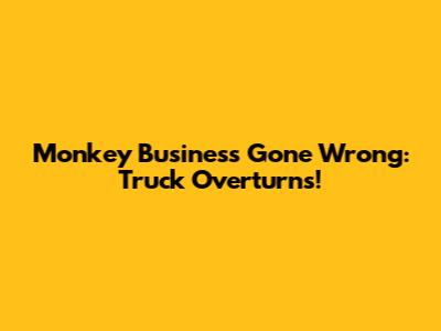 Monkey Business Gone Wrong: Truck Overturns!