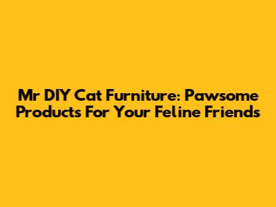 Mr DIY Cat Furniture: Pawsome Products For Your Feline Friends