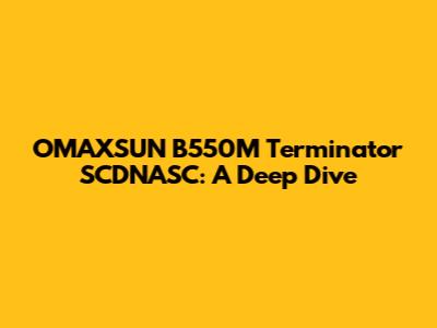 OMAXSUN B550M Terminator SCDNASC: A Deep Dive