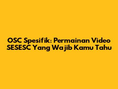OSC Spesifik: Permainan Video SESESC Yang Wajib Kamu Tahu