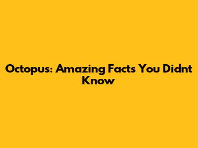 Octopus: Amazing Facts You Didn't Know