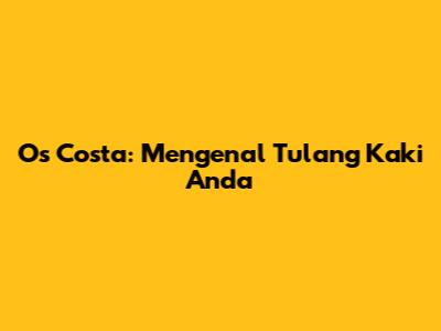 Os Costa: Mengenal Tulang Kaki Anda