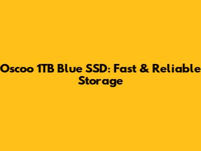 Oscoo 1TB Blue SSD: Fast & Reliable Storage