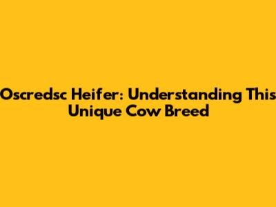 Oscredsc Heifer: Understanding This Unique Cow Breed