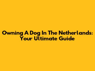 Owning A Dog In The Netherlands: Your Ultimate Guide