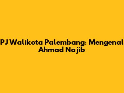 PJ Walikota Palembang: Mengenal Ahmad Najib