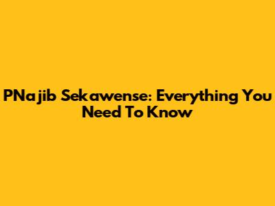PNajib Sekawense: Everything You Need To Know
