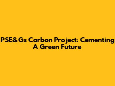 PSE&G's Carbon Project: Cementing A Green Future