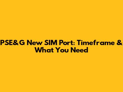 PSE&G New SIM Port: Timeframe & What You Need