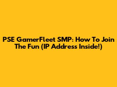 PSE GamerFleet SMP: How To Join The Fun (IP Address Inside!)