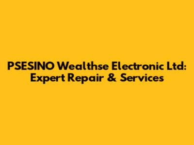 PSESINO Wealthse Electronic Ltd: Expert Repair & Services