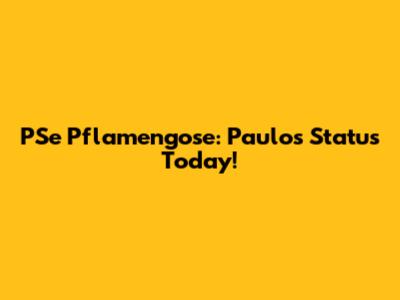 PSe Pflamengose: Paulo's Status Today!